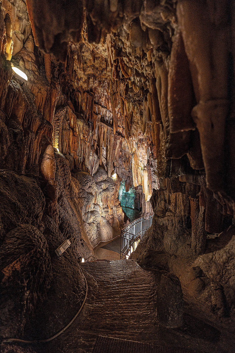 Κεφαλονιά: Η φύση πρωταγωνιστεί-4