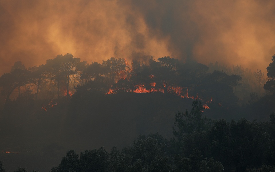 δύσκολη-νύχτα-σε-ηλεία-δαδιά-και-λέσβο-561972169