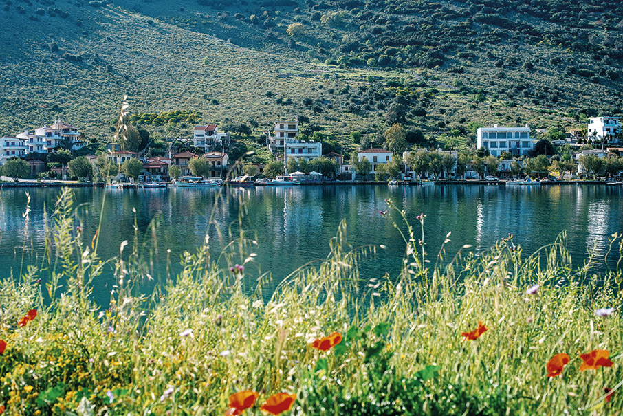 Γιόγκα, χαλάρωση, Εύβοια-12