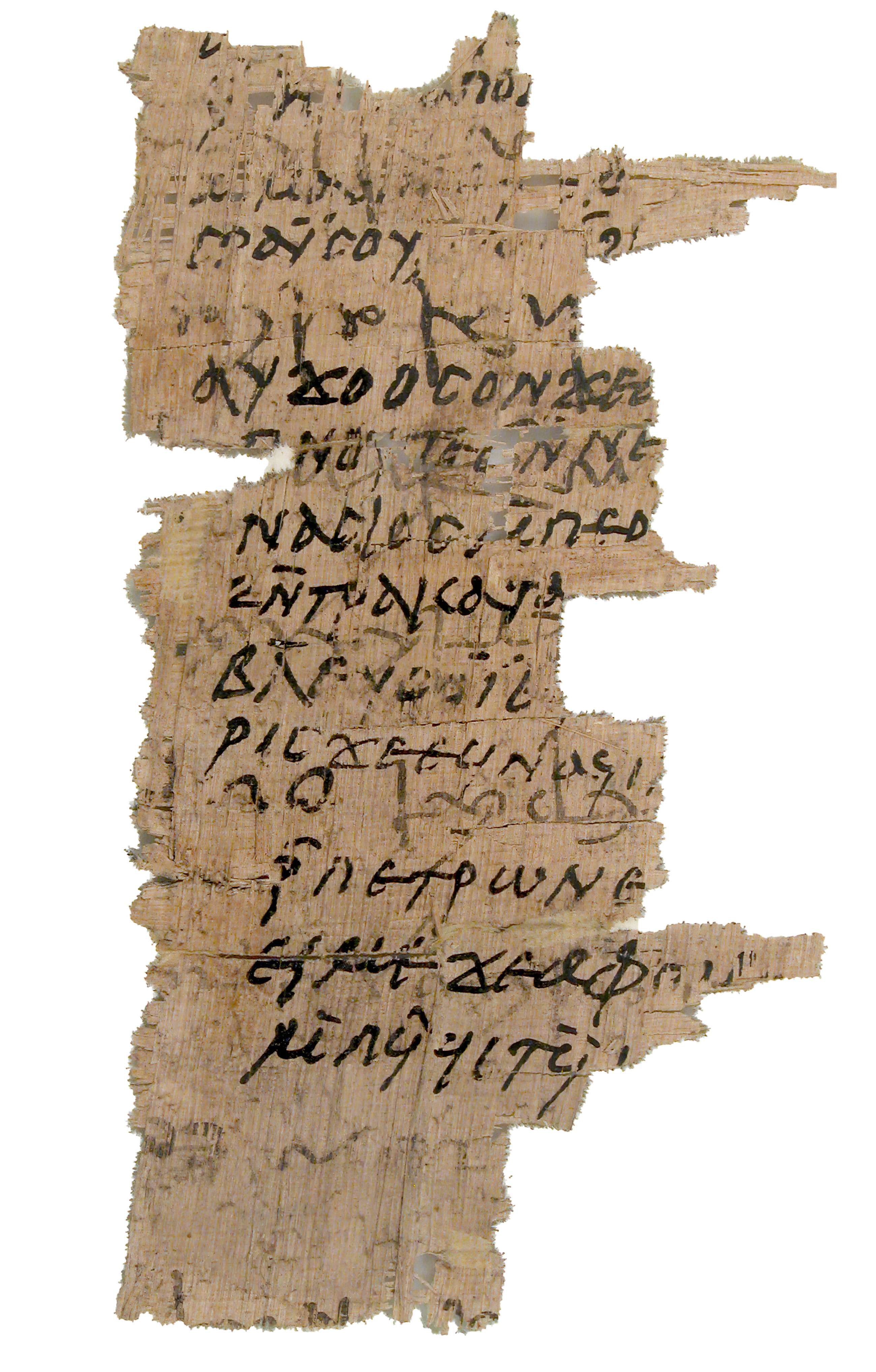 Ακόμα και τα βιβλία έχουν ιστορία, η Ιρένε Βαγιέχο μάς την αφηγείται σαν παραμύθι-4