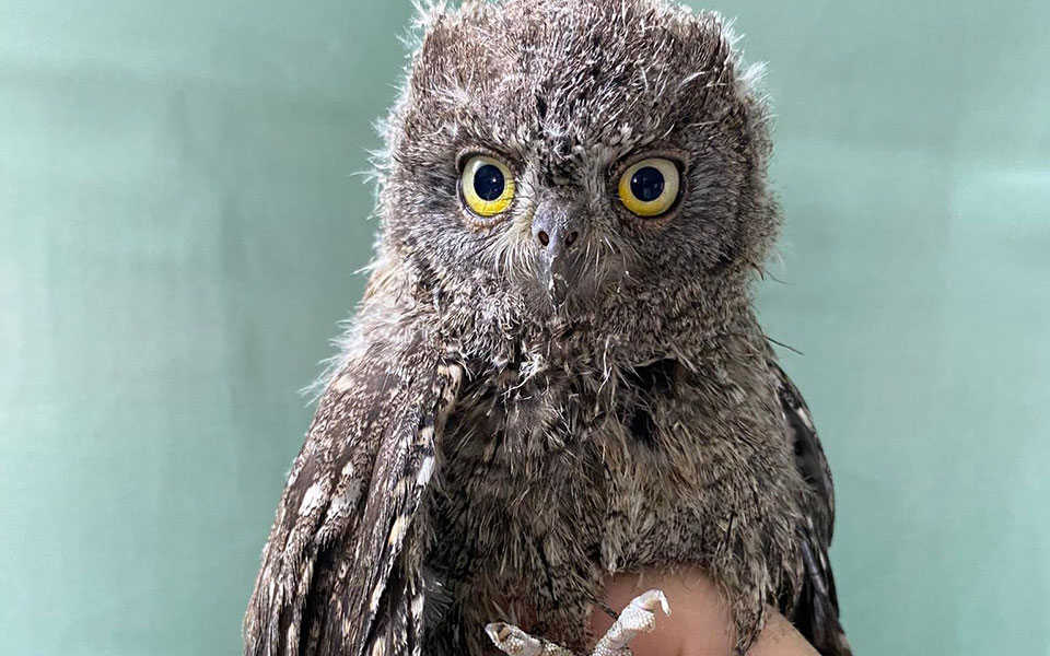 καμπανάκι-πριν-να-είναι-αργά-μην-περι-561945385