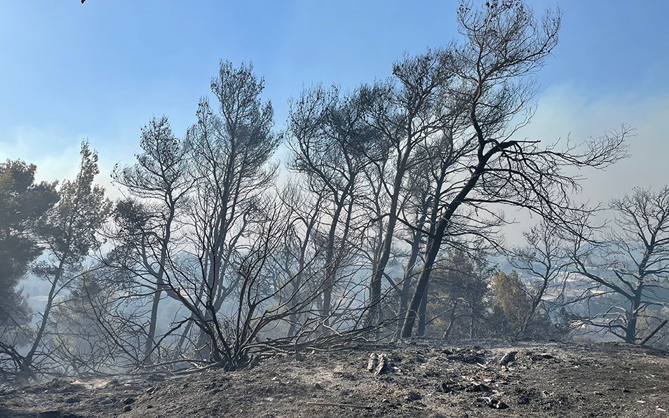 Φωτιά στην Πεντέλη: Η «Κ» στο πύρινο μέτωπο (φωτογραφίες, βίντεο)-6