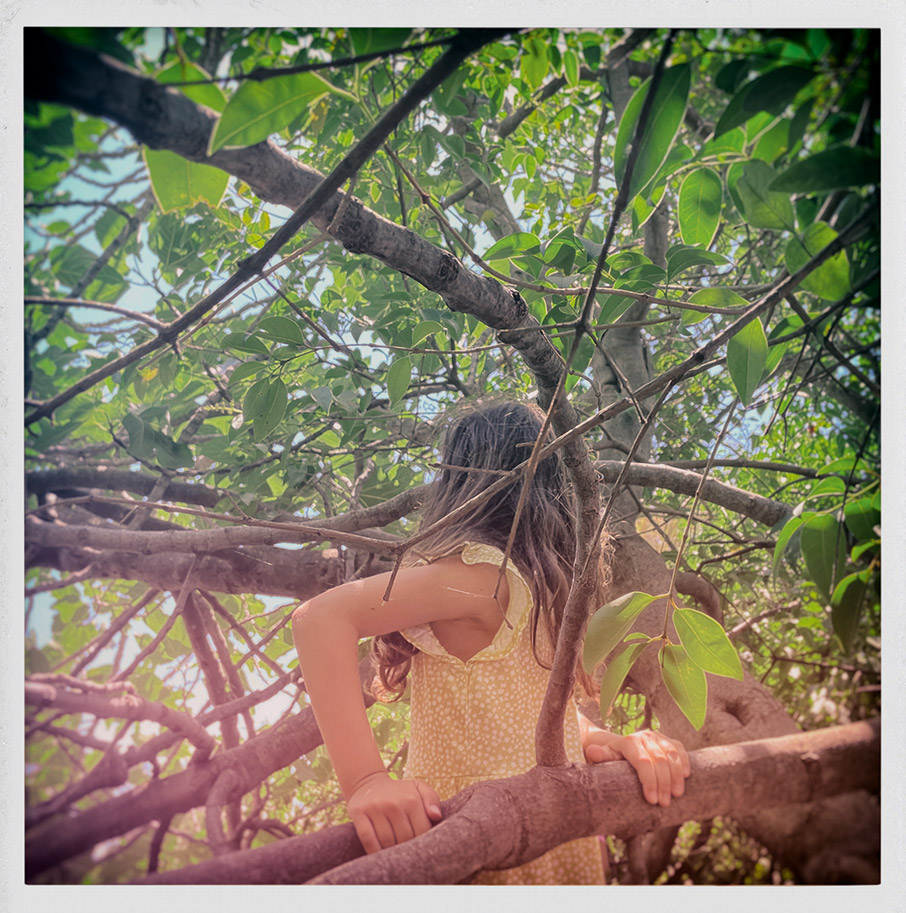 Τσουκαρέλα, Τζίνα και Ρόσα αναζητούν νέο νόημα στις διακοπές τους-2