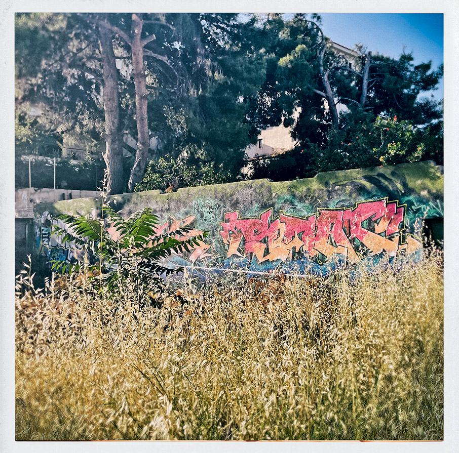 Τσουκαρέλα, Τζίνα και Ρόσα αναζητούν νέο νόημα στις διακοπές τους-1