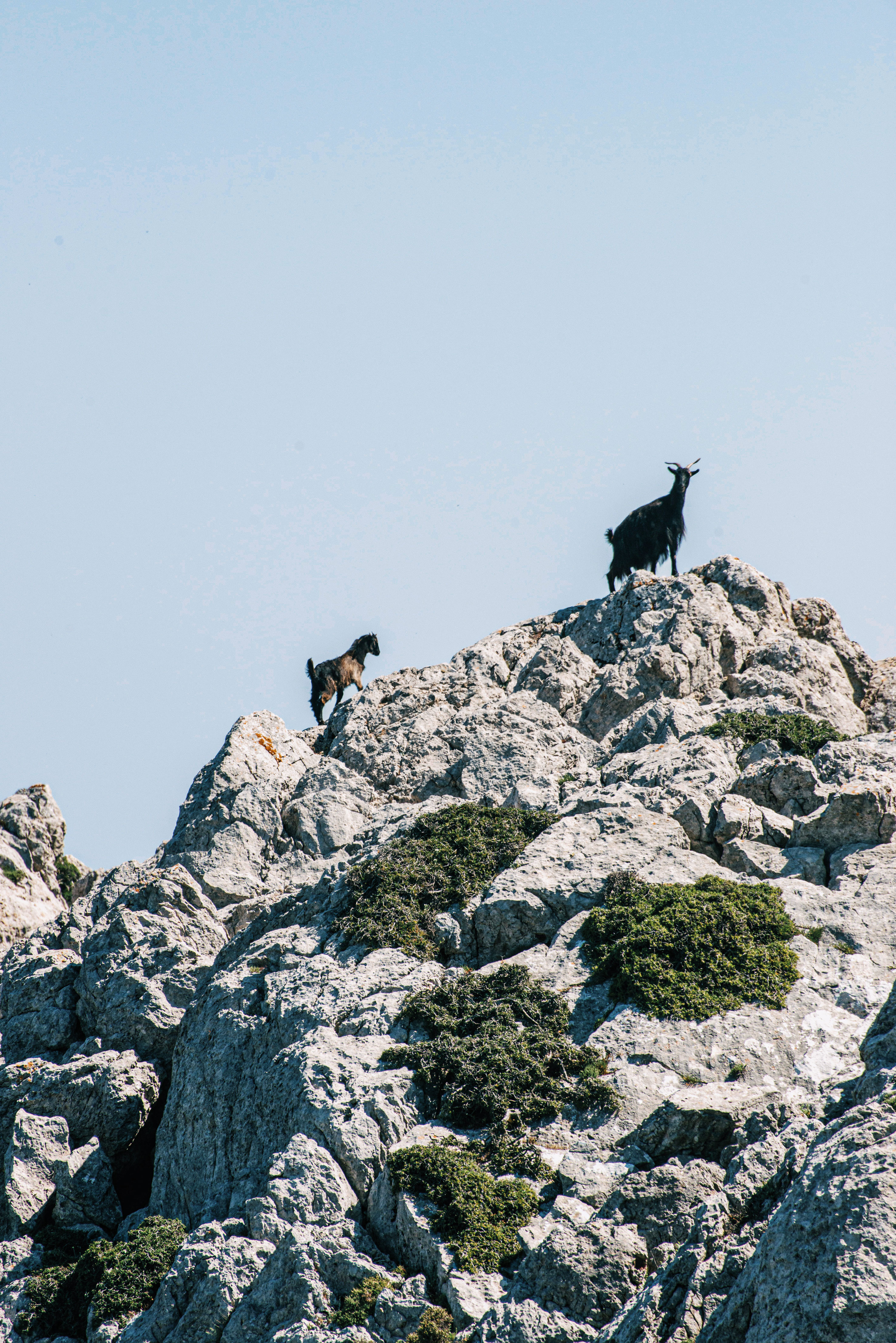 Ικαρία: Πανηγύρια, φύση και τοπία εξωτικά-5