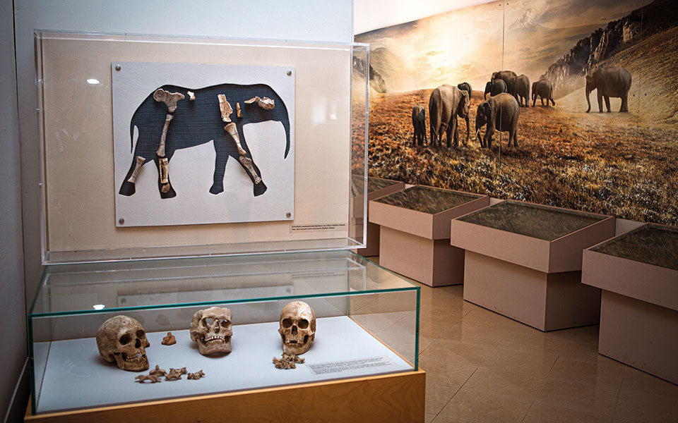 Τήλος: 8 εμπειρίες διακοπών που αξίζει να ζήσετε-5