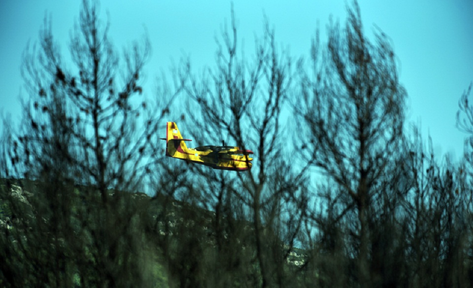 άμφισσα-ένα-ενεργό-μέτωπο-προς-γαλαξί-561941305