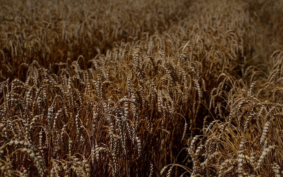 πόλεμος-στην-ουκρανία-οι-χάρτες-των-561978271