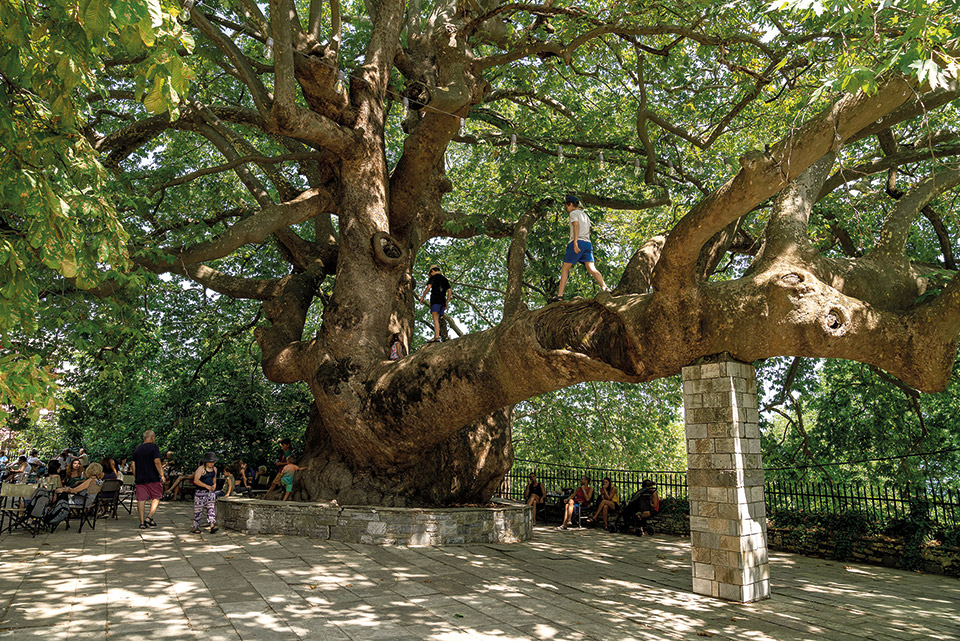 Στο Πήλιο όλοι περνούν καλά-4
