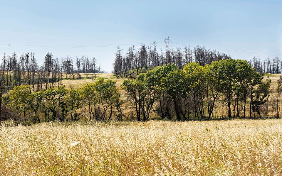 οδοιπορικό-στη-βόρεια-εύβοια-η-νέα-αρχ-561951016