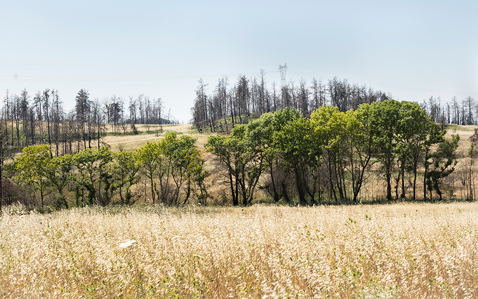 βόρεια-εύβοια-μια-νέα-αρχή-στο-περιο-561946987