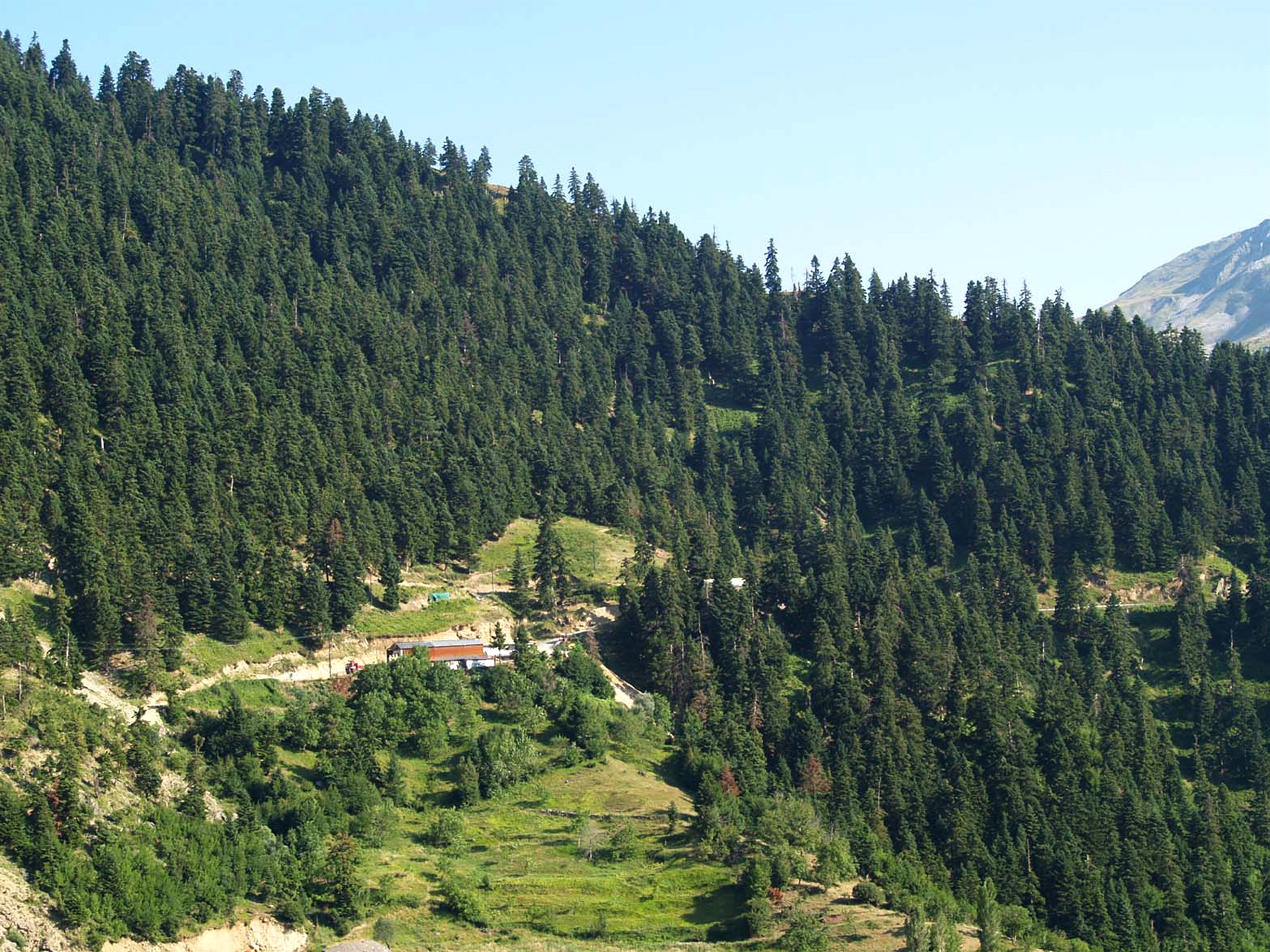 διχάζουν-οι-ρυθμίσεις-για-περιοχές-natura-561967921