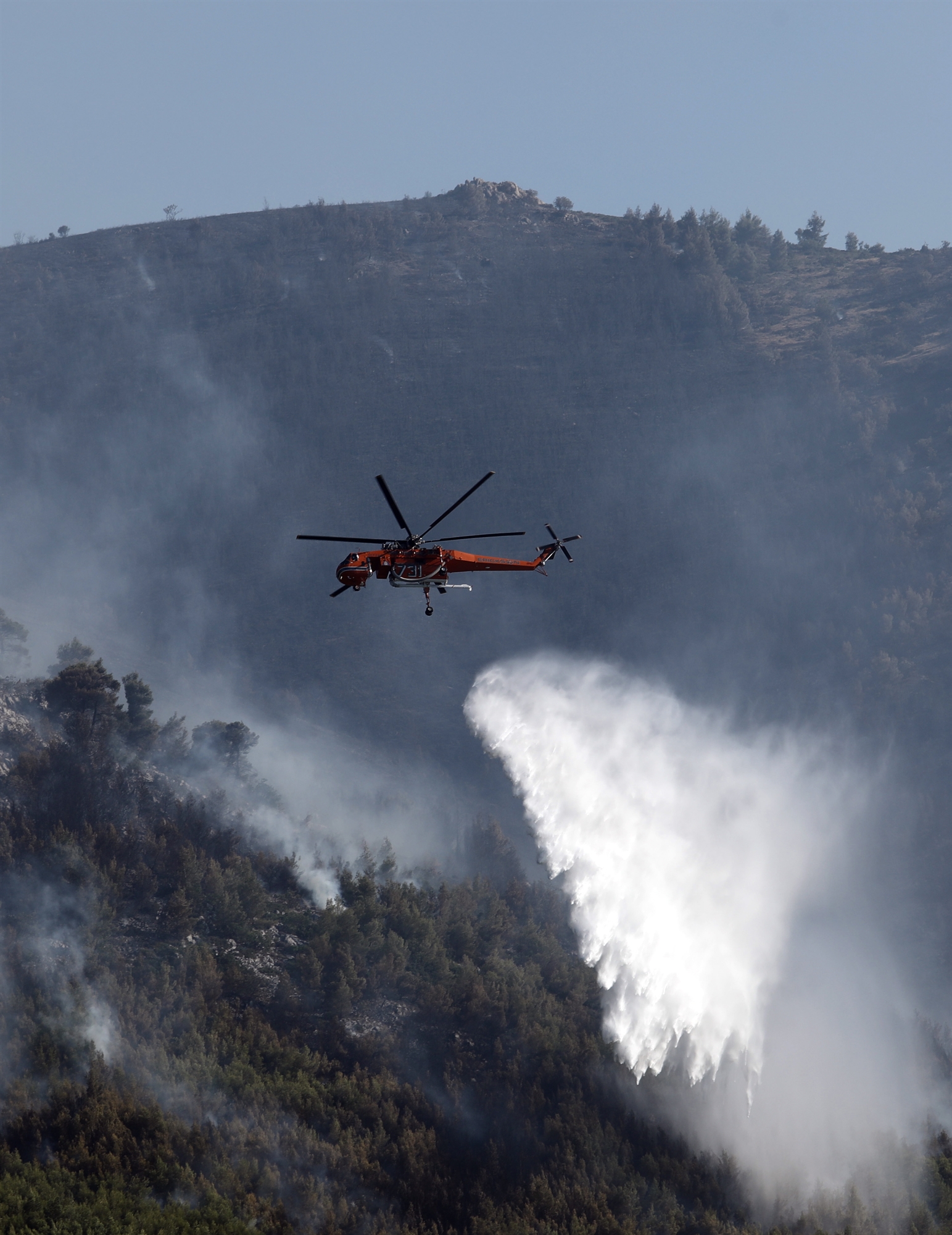ηλεία-στο-μέτωπο-της-χασισοκαλλιέργε-561944389
