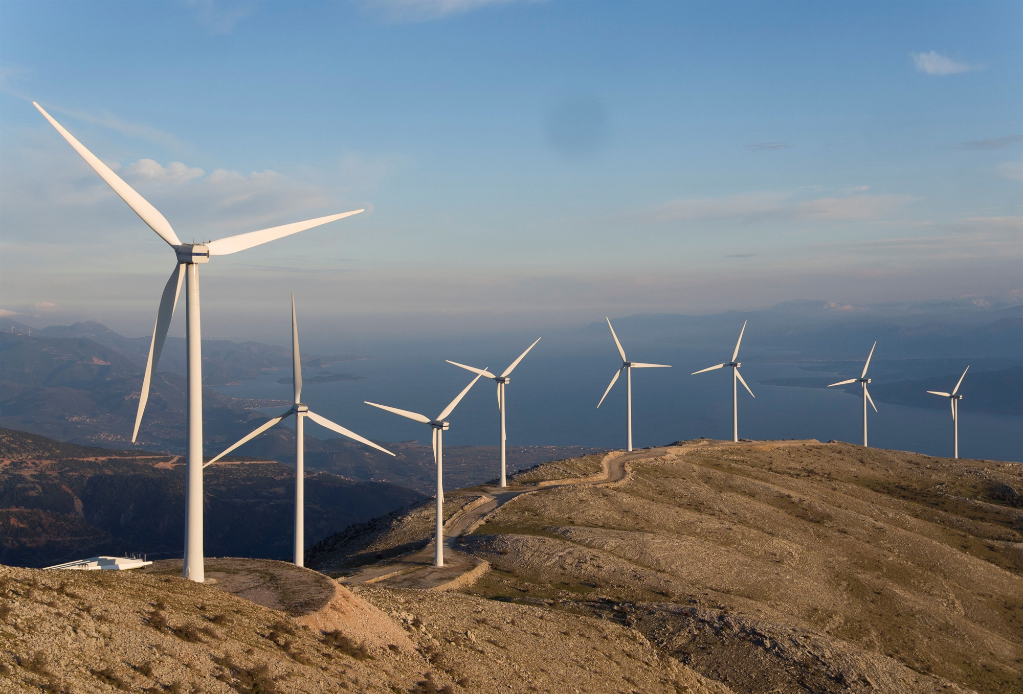 νέοι-μνηστήρες-διεκδικούν-την-τερν-561976615