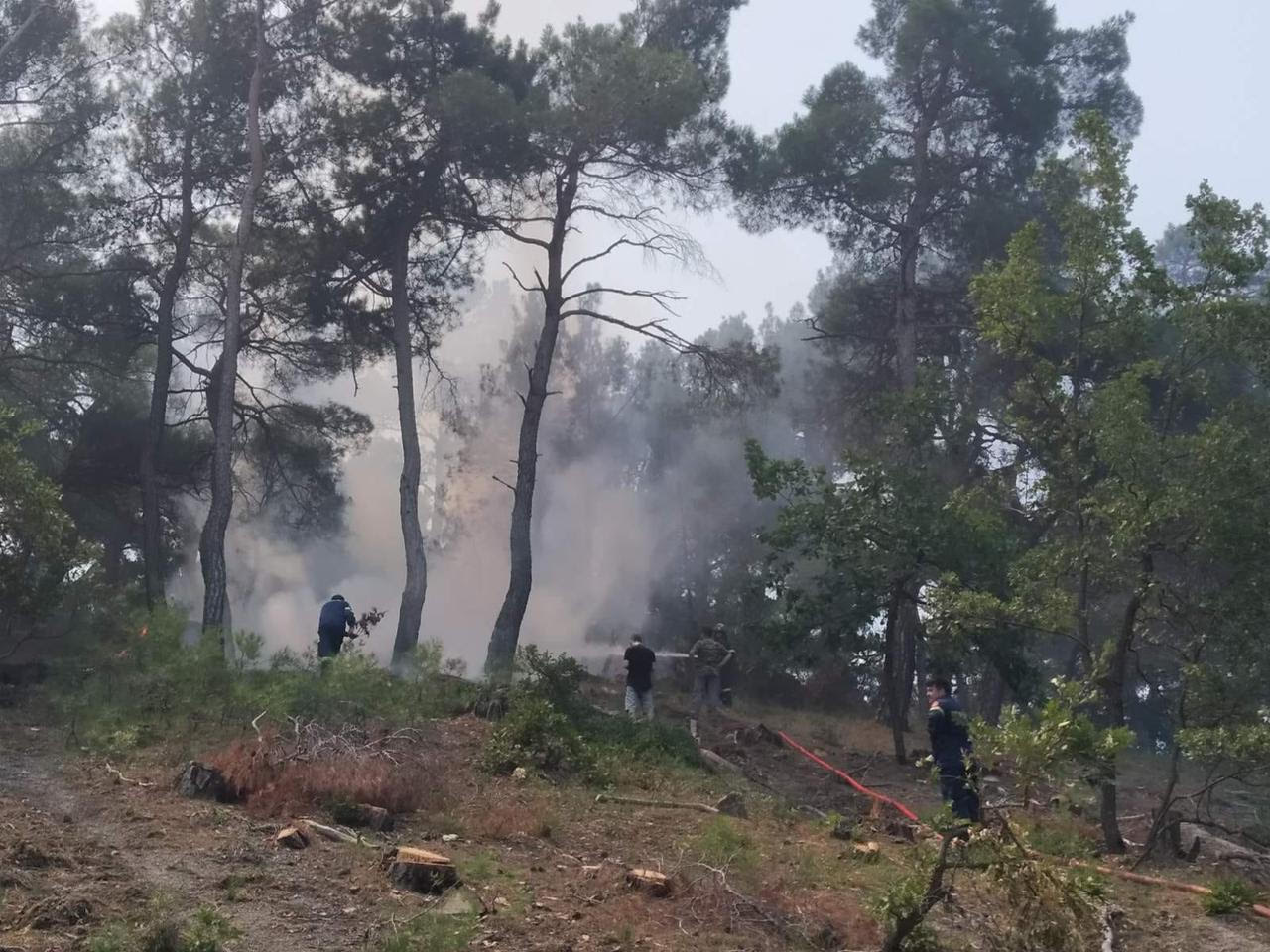 Πυρκαγιές: Ενισχύθηκαν οι δυνάμεις στον Έβρο – Καλύτερη η εικόνα στην Ηλεία-2