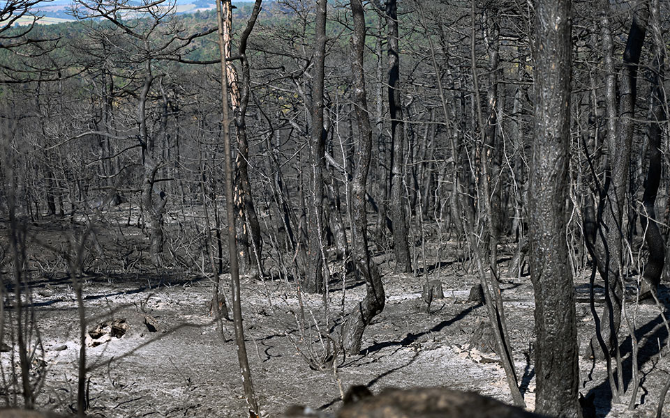 νέες-αντιπυρικές-ζώνες-στο-νοτιοδυτι-561975307