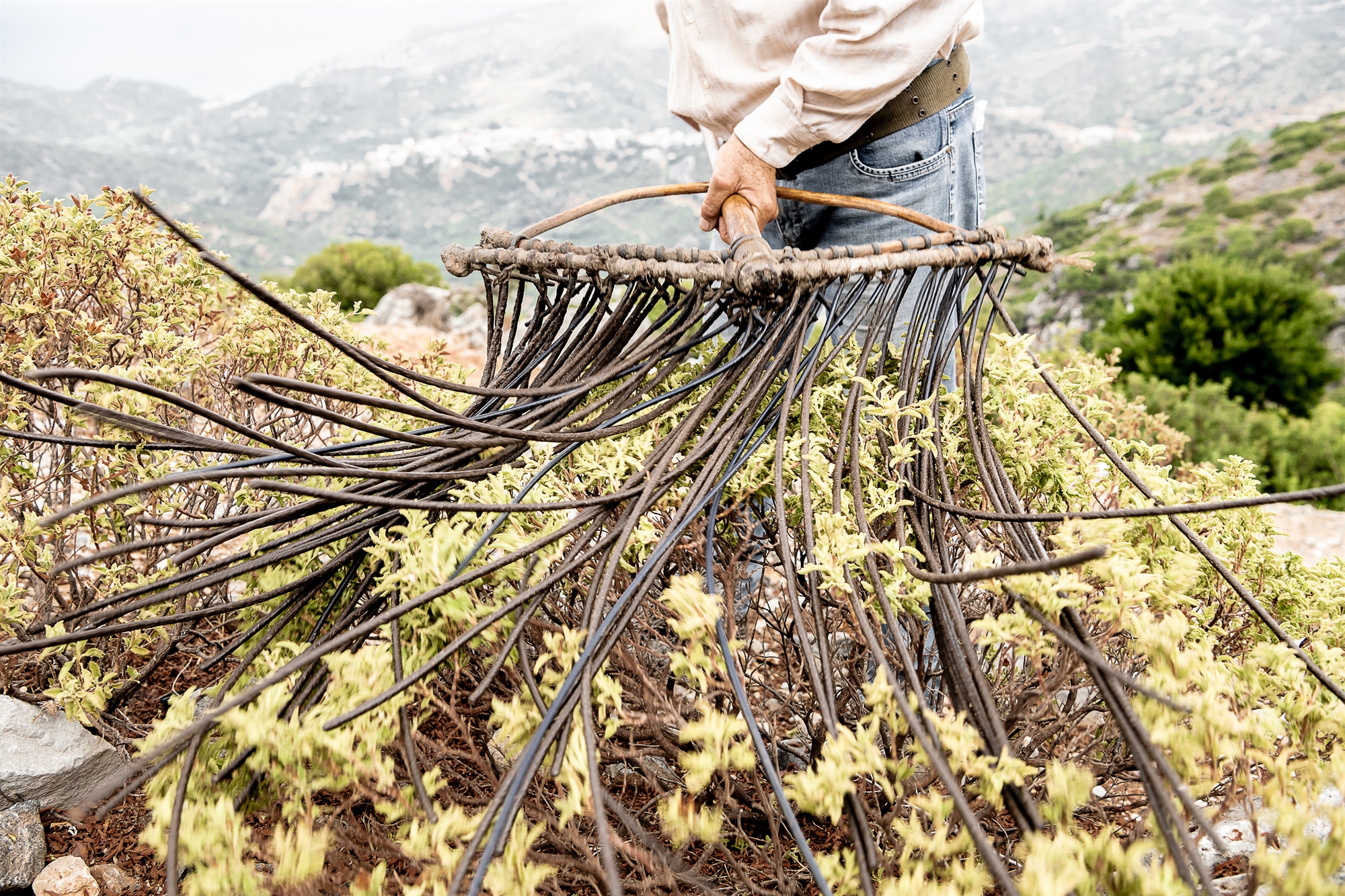 «Χειροποίητη Κρήτη», το concept book που αναδεικνύει τον πλούτο της Μεγαλονήσου-1