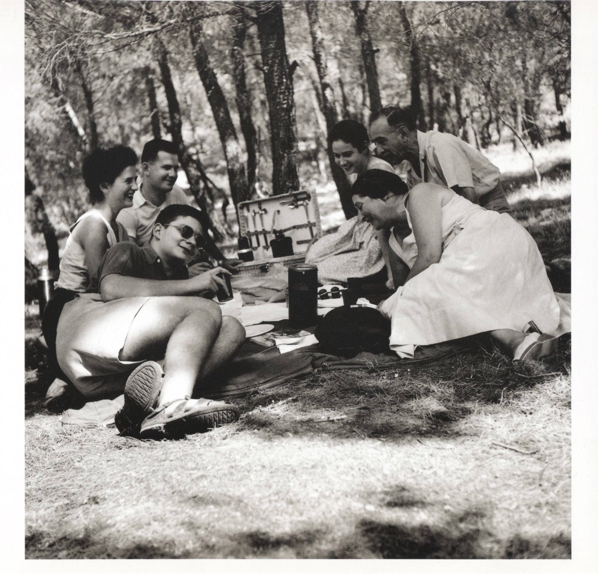 Το μαγικό βουνό: Πώς η Πεντέλη παρά τα διαδοχικά χτυπήματα παραμένει ζωντανή-1