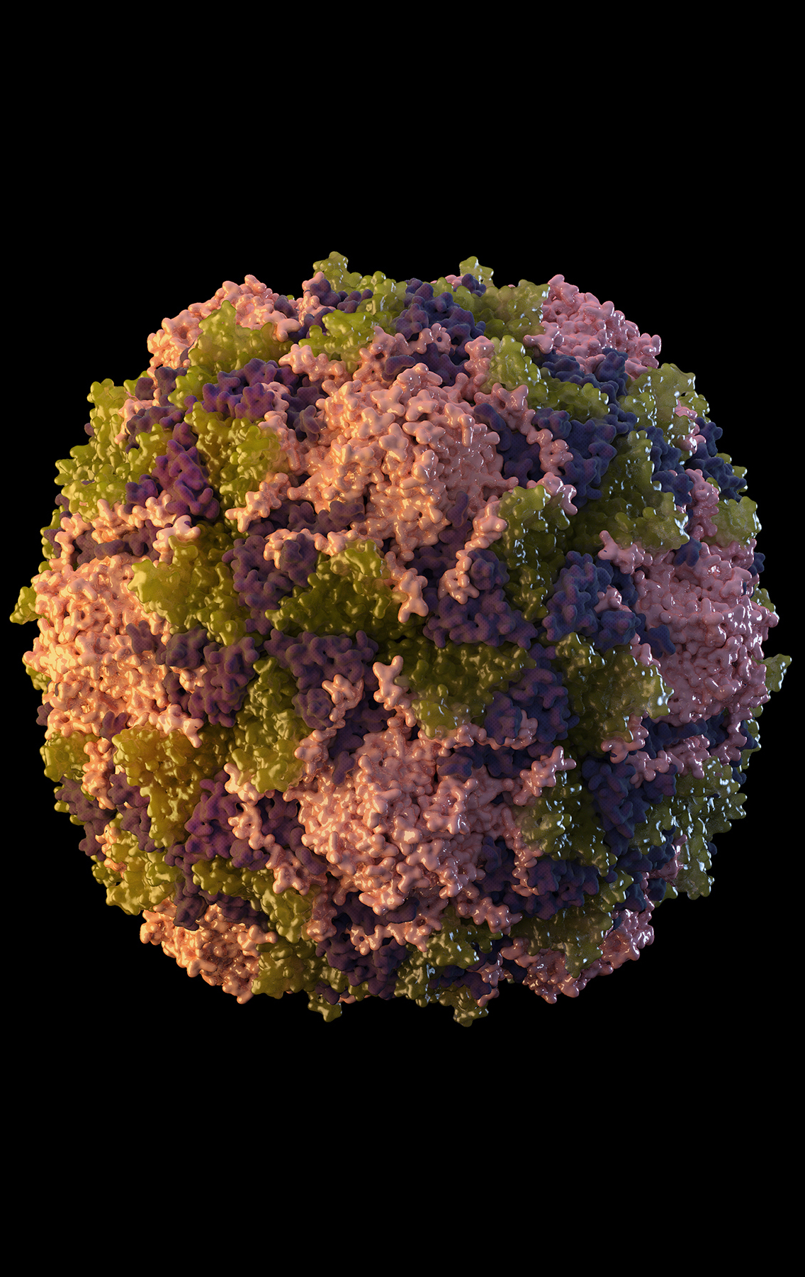 κρούσμα-της-εξαφανισμένης-πολιομυελ-561969544