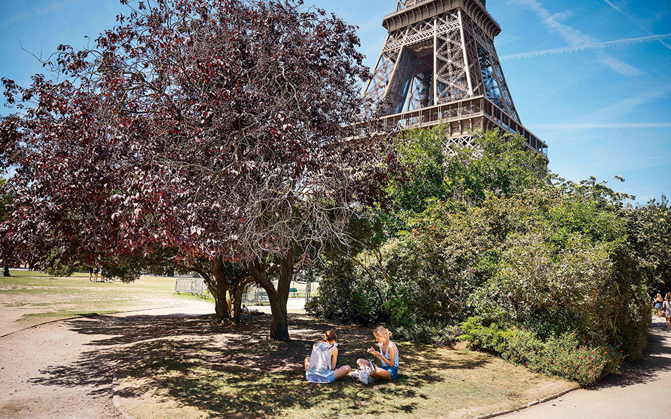 ευρώπη-δεύτερος-καύσωνας-σε-ένα-μήνα-561955819