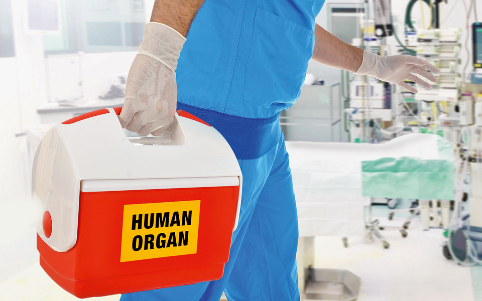 δώδεκα-χρόνια-με-την-καρδιά-του-νικόλα-561963439