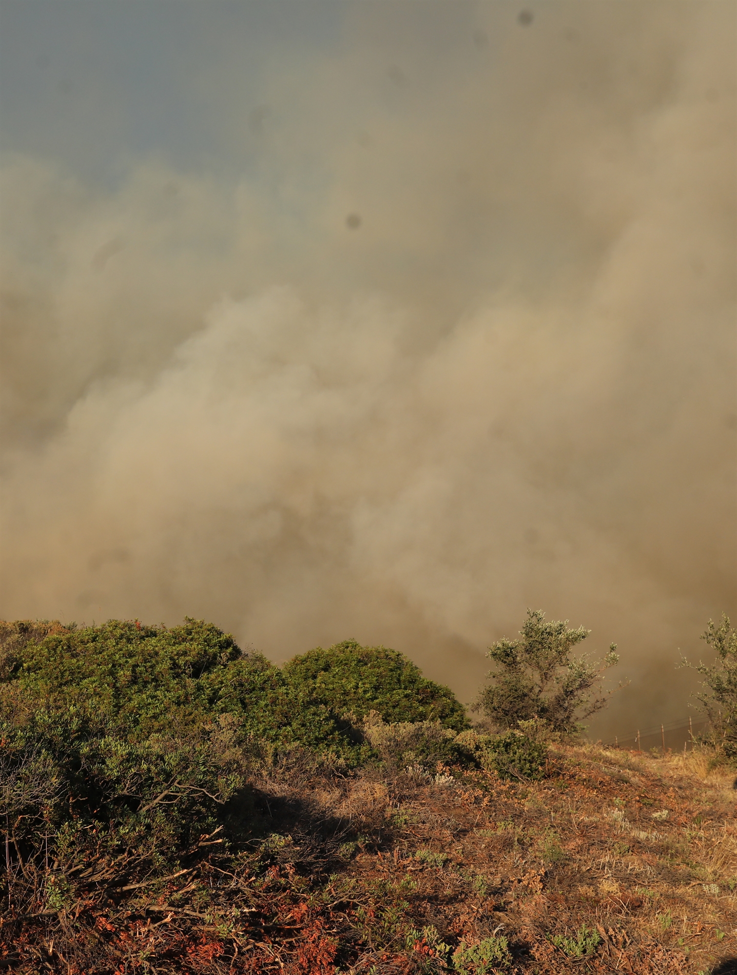 Οι φλόγες τυλίγουν πάλι την Πεντέλη-2