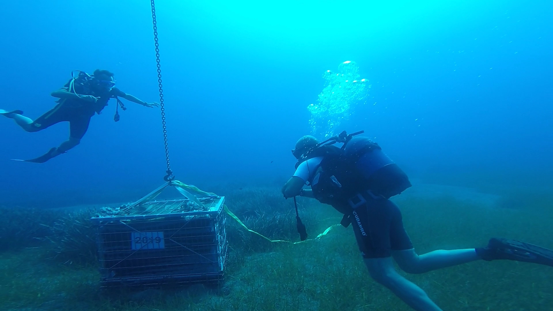 οινική-επανάσταση-για-τις-ποικιλίες-τ-561970537