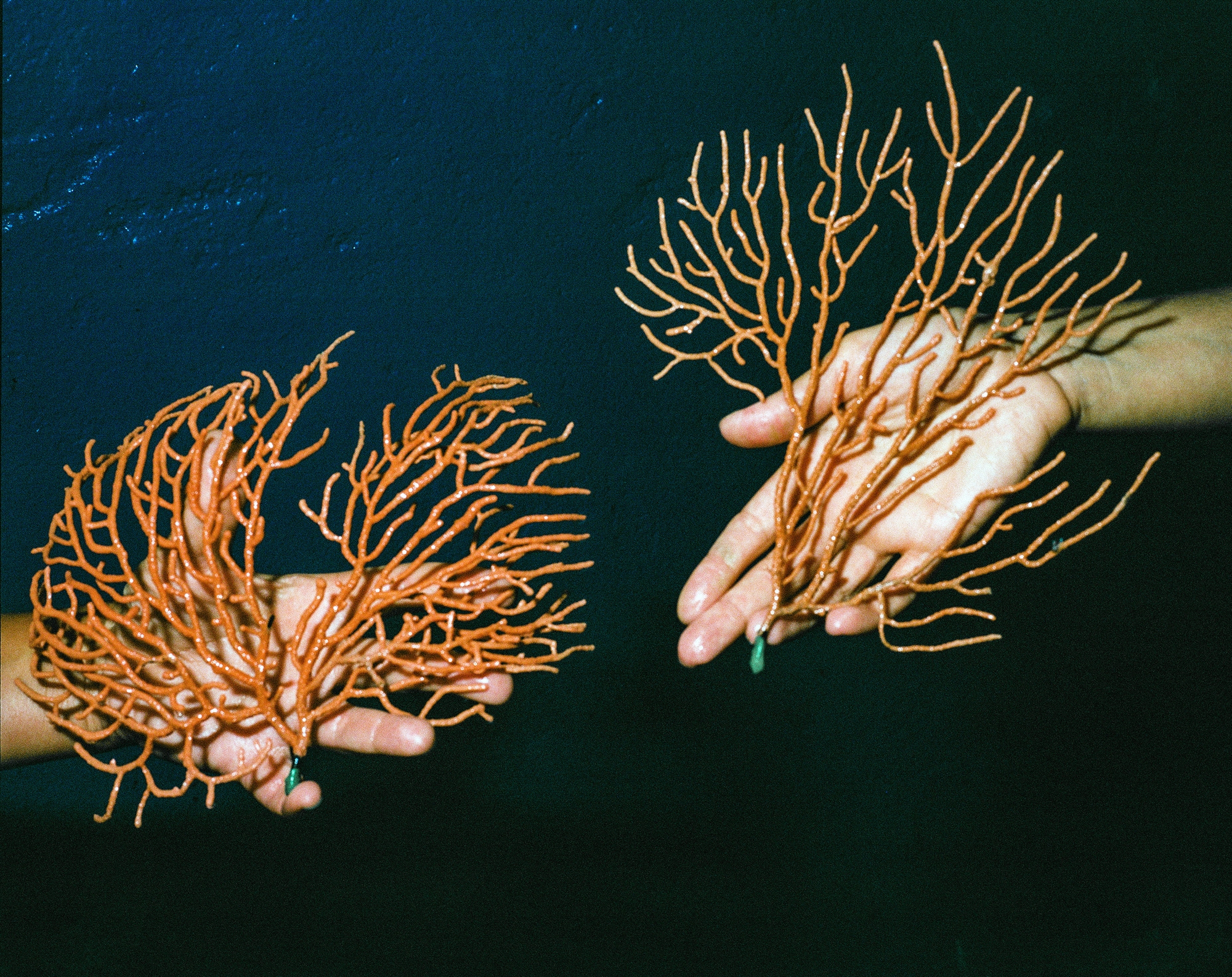 Ανεμογεννήτριες στη θάλασσα του Νταλί-1