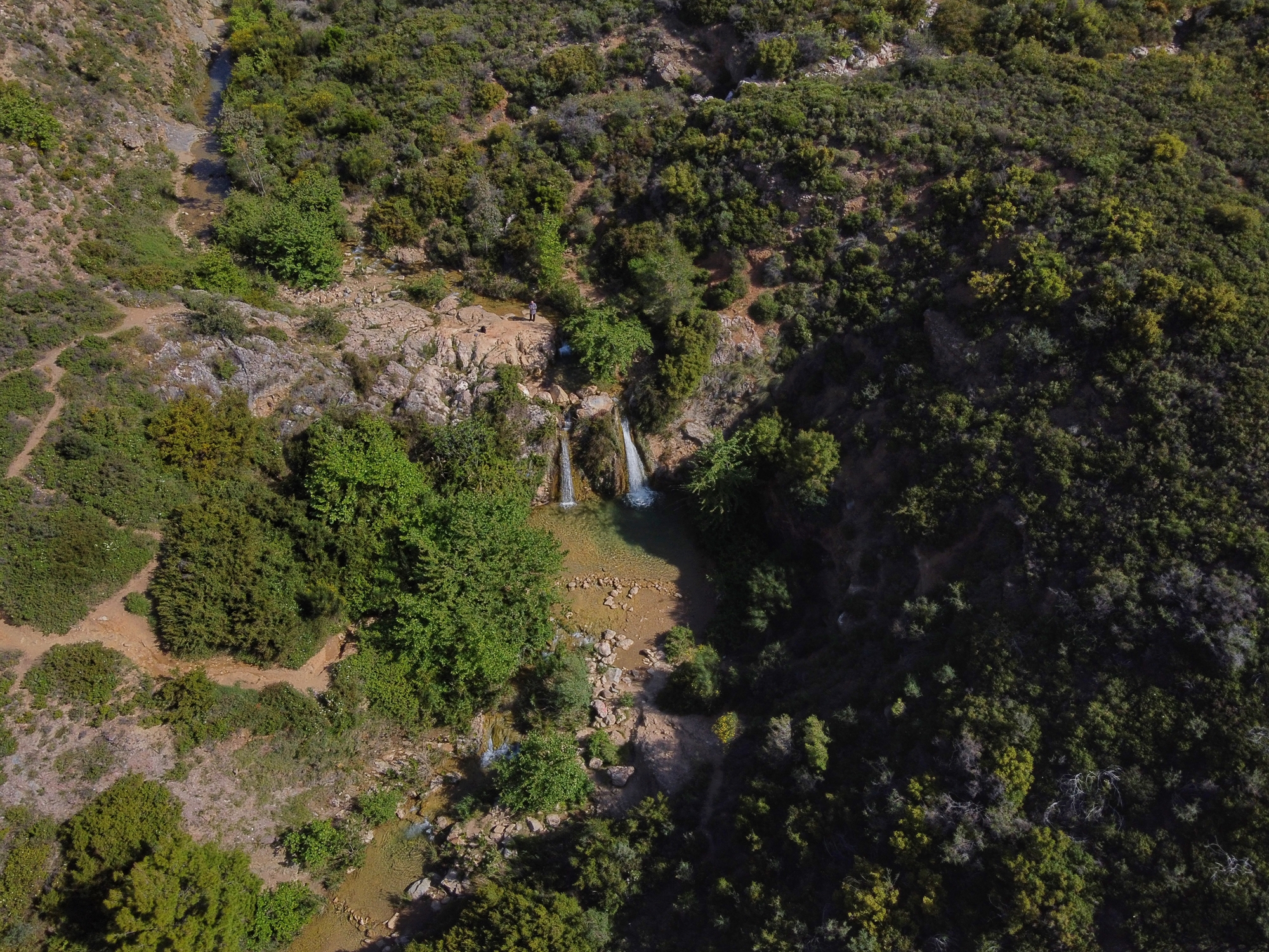 Το μαγικό βουνό: Πώς η Πεντέλη παρά τα διαδοχικά χτυπήματα παραμένει ζωντανή-2