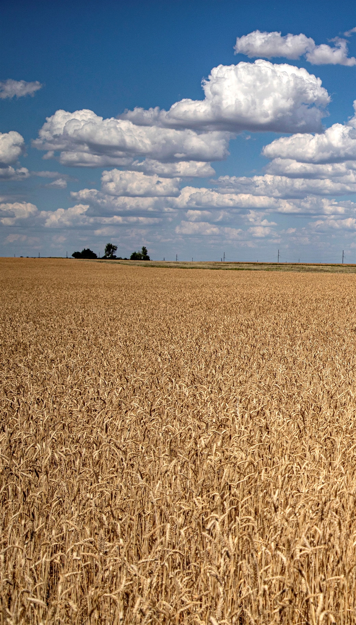 ουκρανία-είκοσι-νεκροί-και-δεκάδες-τρ-561955294