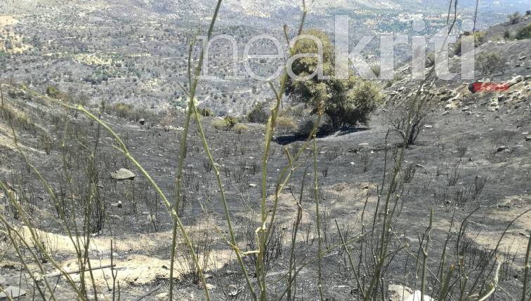 Φωτιά στο Ρέθυμνο: Αναζωπύρωση στον Άγιο Βασίλειο – Εκκενώθηκαν κατοικίες-1