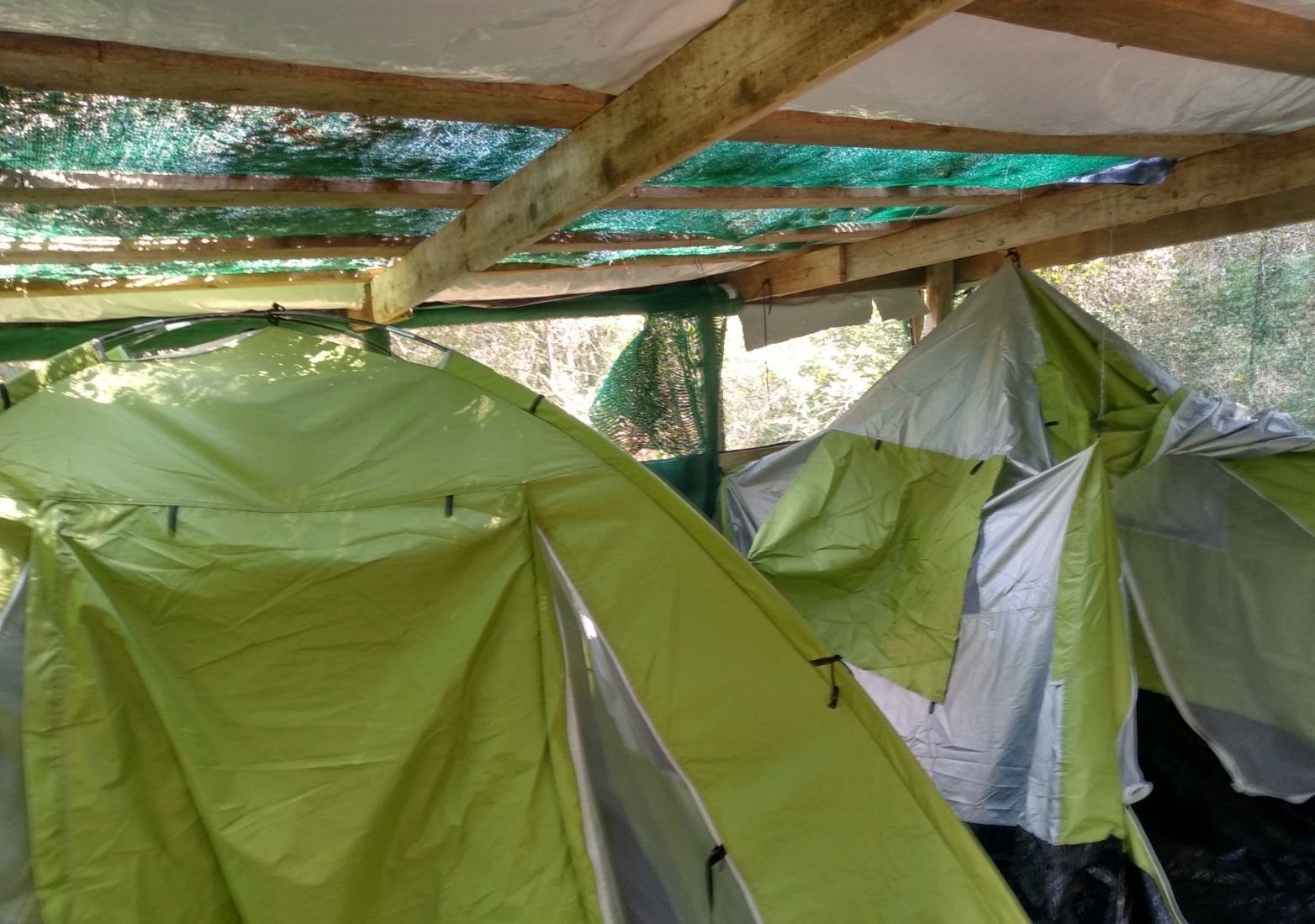 Κόρινθος: Εντοπίστηκε φυτεία με 1.210 δενδρύλλια κάνναβης (εικόνες)-2