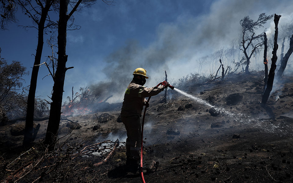 φωτιά-τώρα-στο-δίστομο-561978751