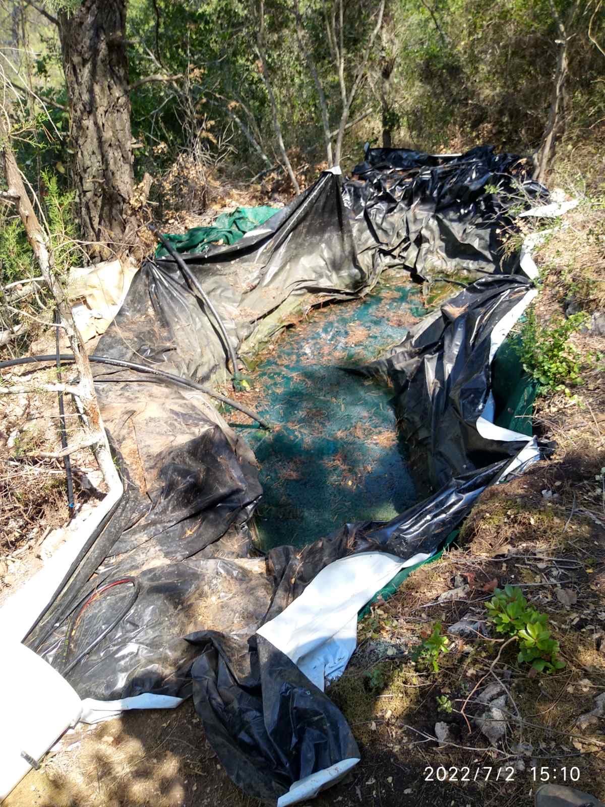 Κόρινθος: Εντοπίστηκε φυτεία με 1.210 δενδρύλλια κάνναβης (εικόνες)-3