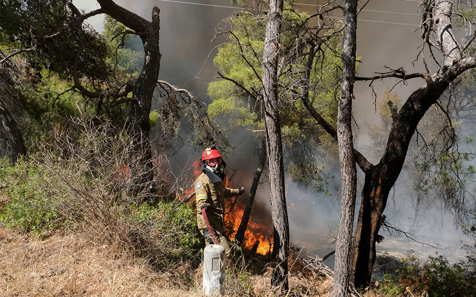 πυρκαγιές-ενισχύθηκαν-οι-δυνάμεις-στ-561968482