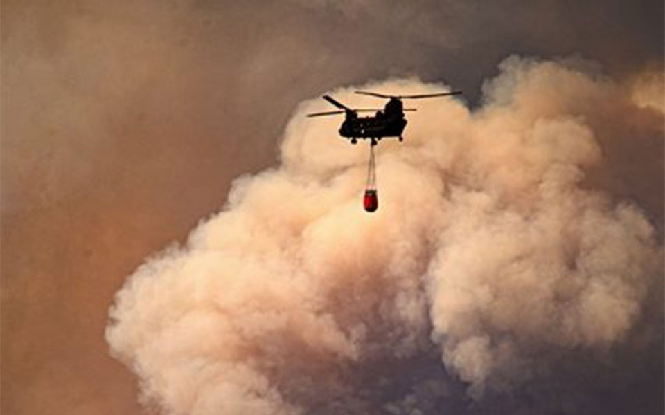 βαθιές-οι-οικολογικές-πληγές-στη-δαδι-561974170