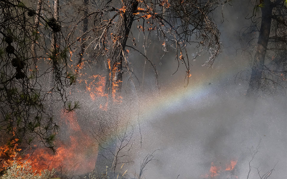 υπό-έλεγχο-η-φωτιά-στα-νεόκτιστα-ασπρο-561978925