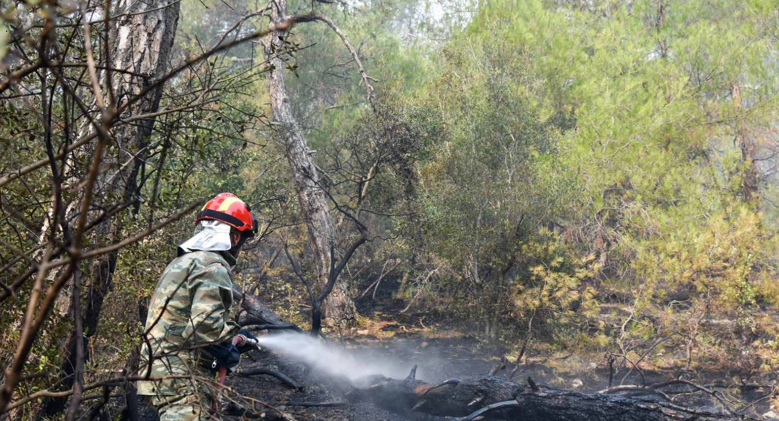 φωτιές-στο-νοτιοδυτικό-μέτωπο-η-μεγάλ-561974335