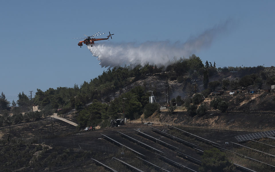 πυροσβεστική-52-δασικές-πυρκαγιές-το-τε-561940420