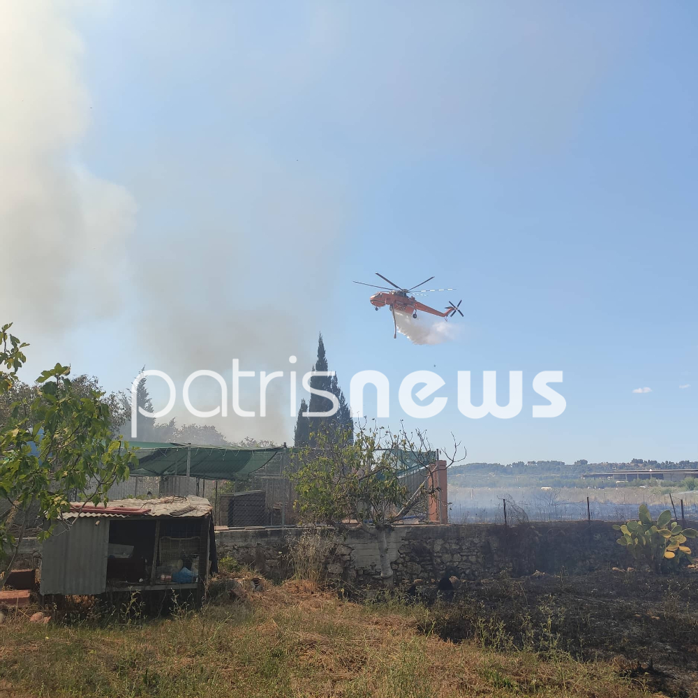 Συναγερμός στην Ηλεία: Πύρινα μέτωπα σε Πύργο και Σπιάντζα-2