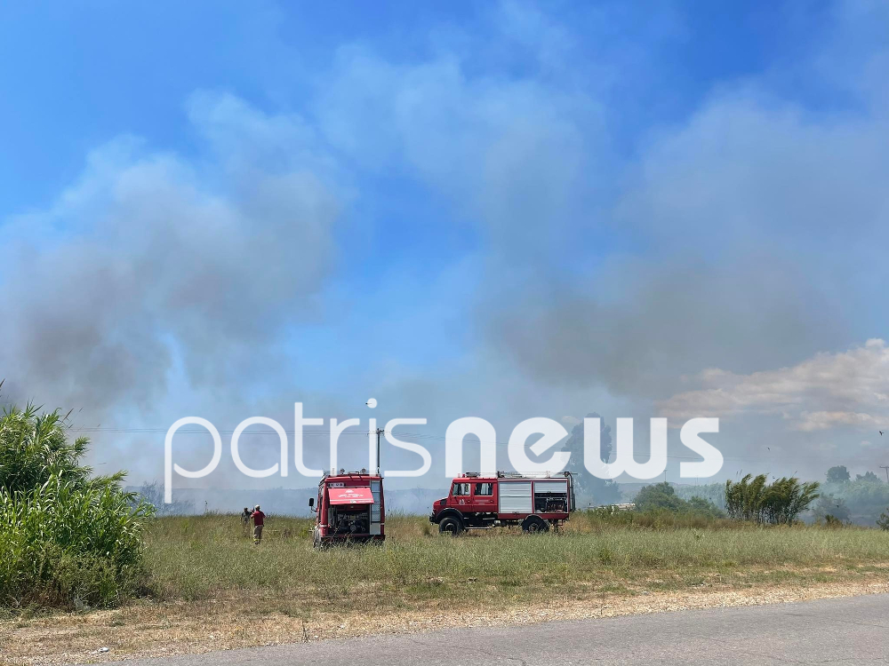 Φωτιά στη Βόρεια Εύβοια – Τριπλό πύρινο μέτωπο στην Ηλεία-3