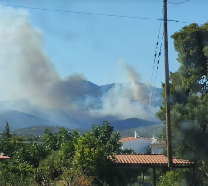 Νταού Πεντέλης: Μεγάλη κινητοποίηση της πυροσβεστικής – Μήνυμα από το 112-4