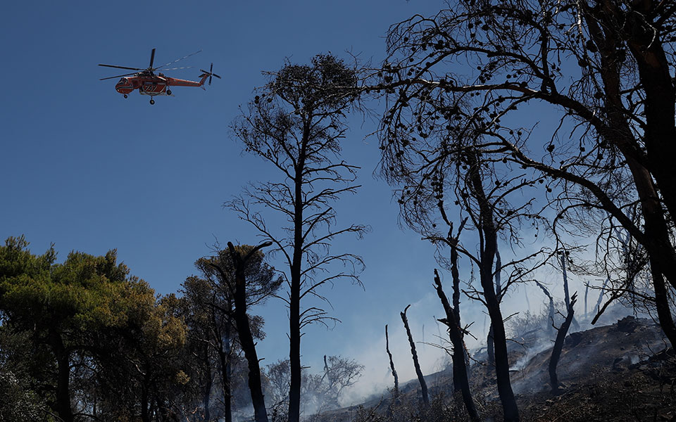 φωτιά-σε-εξέλιξη-στην-περιοχή-λινίστα-561981451