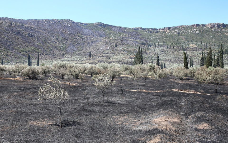 ενεργοποιήθηκε-η-υπηρεσία-copernicus-για-τις-φ-561942058