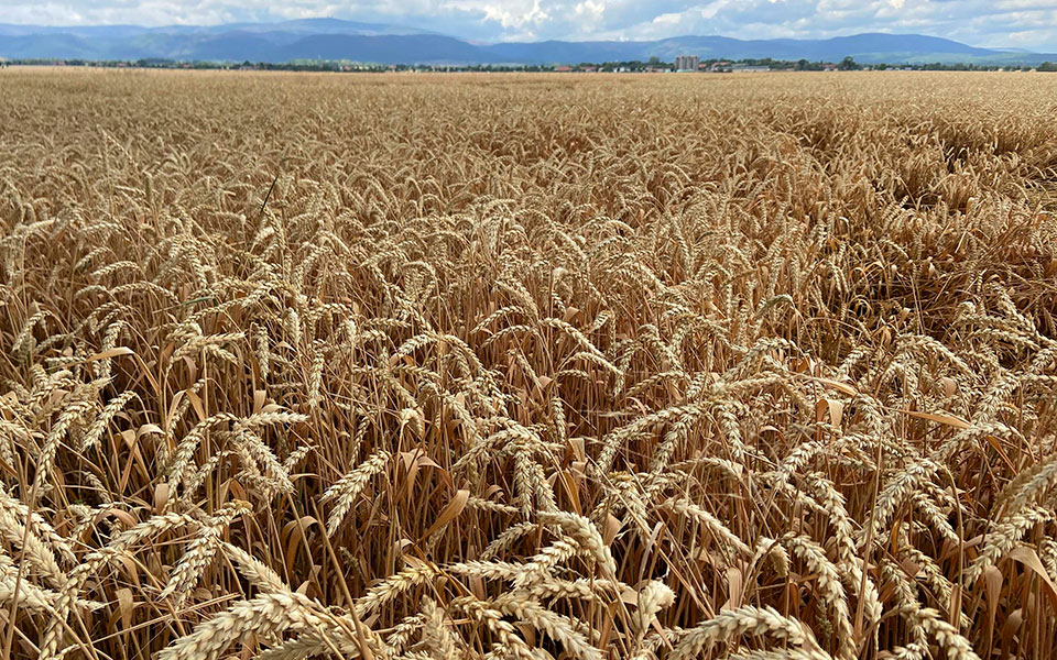 ηπα-σε-ρωσία-εφαρμόστε-γρήγορα-τη-συμφ-561969979