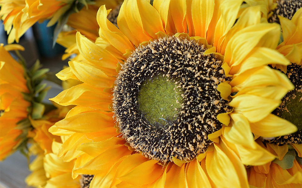 η-μόσχα-αύξησε-το-πλαφόν-στις-εξαγωγές-561961423