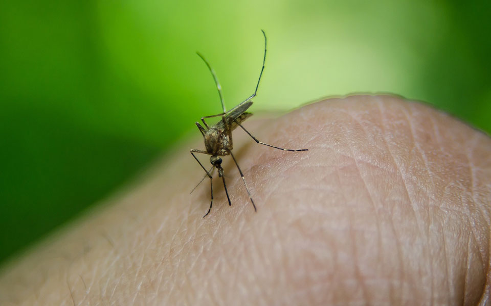 λάρισα-στο-νοσοκομείο-ηλικιωμένος-με-561967189