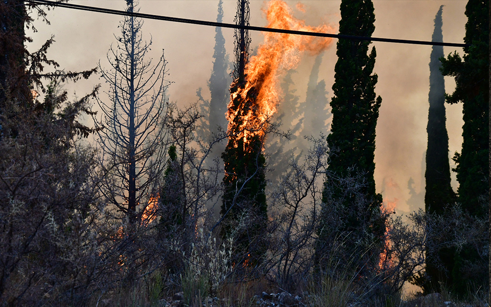 πυρκαγιά-στην-αχαΐα-βελτιωμένη-η-εικό-561961453