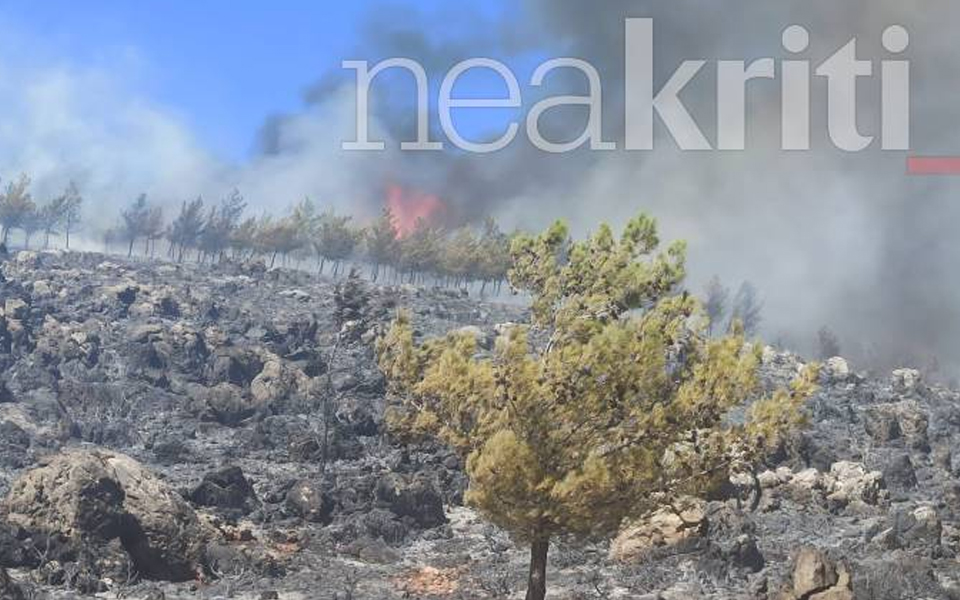 κρήτη-φωτιά-στο-δάσος-της-κέρης-βίντεο-561961000