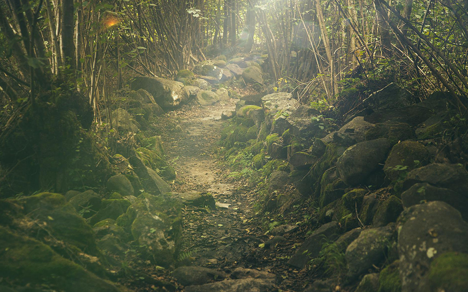 υψηλός-κίνδυνος-πυρκαγιάς-σε-έβρο-και-561963610